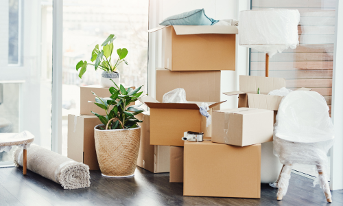 Moving boxes, a potted plant, and furniture wrapped for protection, symbolizing packing or relocation in a bright living space.