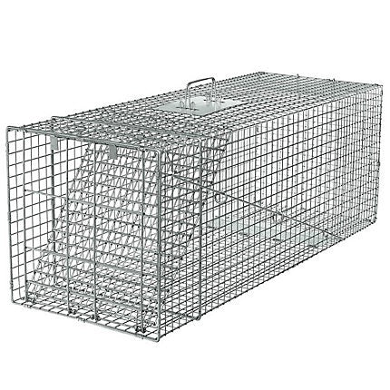 HAVAHART® X-LARGE 1-DOOR TRAP